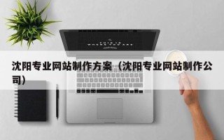 临沂沈阳专业网站制作方案（沈阳专业网站制作公司）